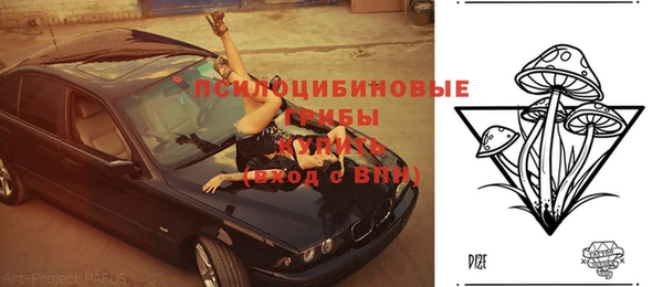 эйфоретик Кукмор