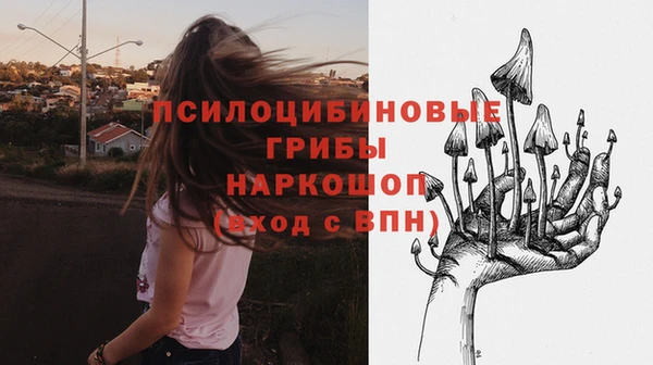 герыч Куйбышев