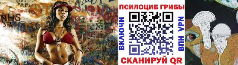 купить наркоту  Долгопрудный  Галлюциногенные грибы мицелий 